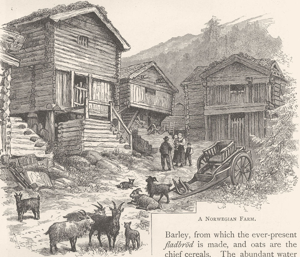 NORWAY. A Norwegian Farm 1890 old antique vintage print picture